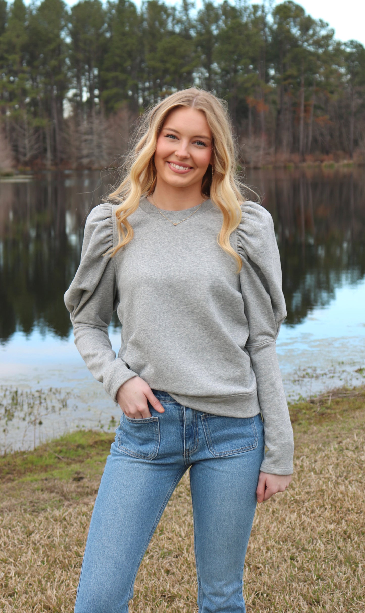 Puff Sleeve Grey Top image 0