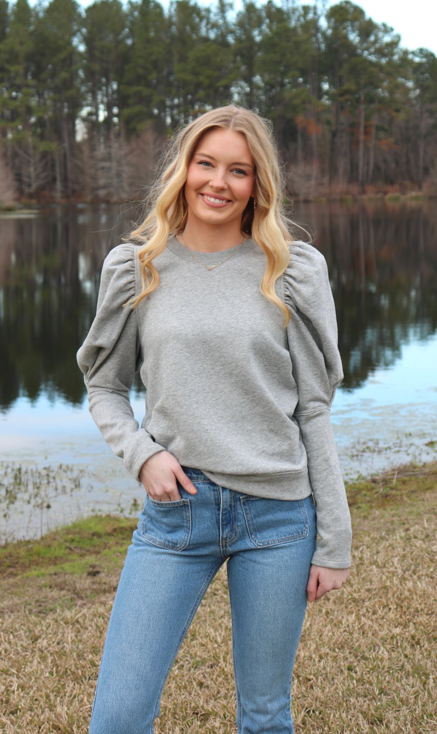 Puff Sleeve Grey Top image 0