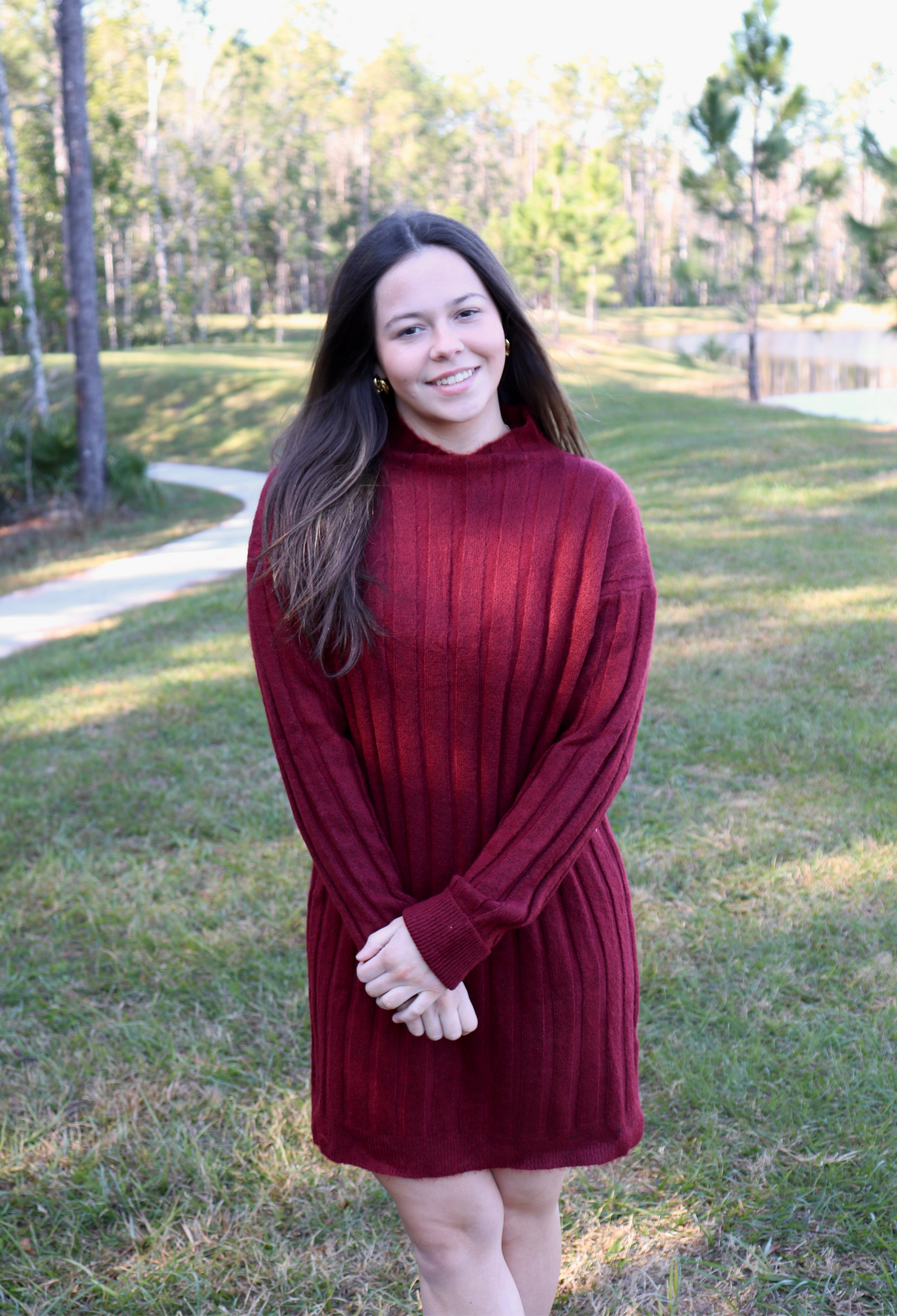 Long Sleeve Sweater Dress image 0